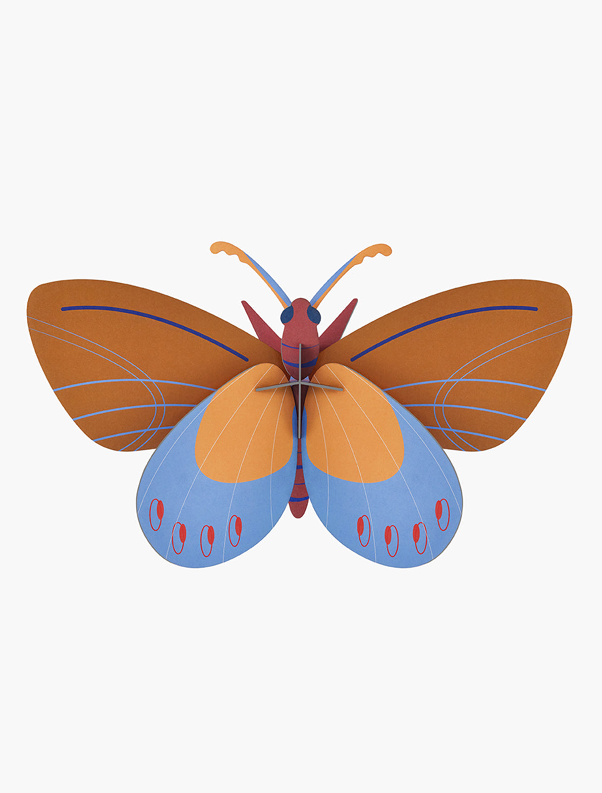 Veggdekor, stor - Ochre Costa Butterfly