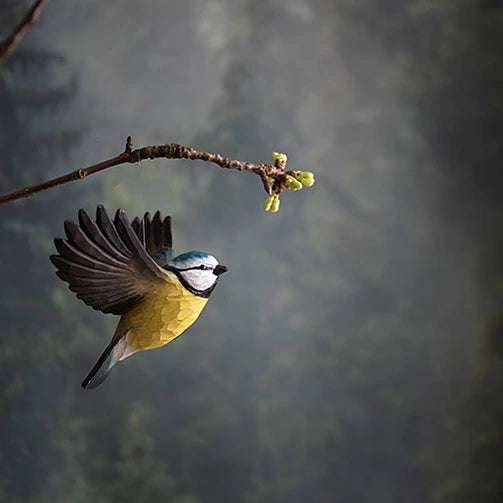 Wildlife Garden trefugl, Flyvende Blåmeis