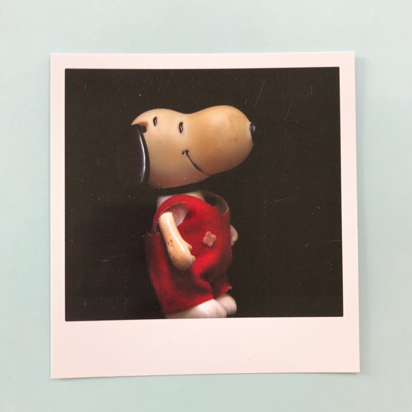 Polaroidkort - Snoopy