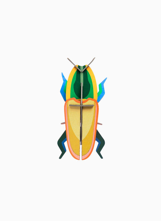 Veggdekor - Liten, Madagascar Beetle